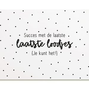 Wenskaart A6 formaat met de tekst Succes met de laatste loodjes - je kunt het!